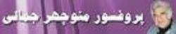 منوچهرجمالی